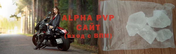 прущие грибы Алагир