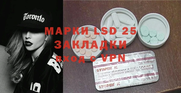 прущие грибы Алагир