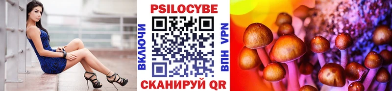 Галлюциногенные грибы Psilocybe  Арск 